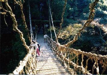 かずら橋