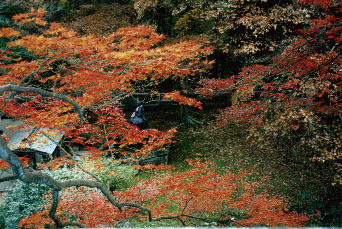 根香寺の紅葉