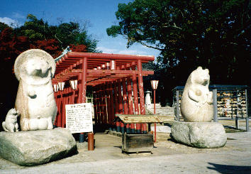 屋島寺の狸