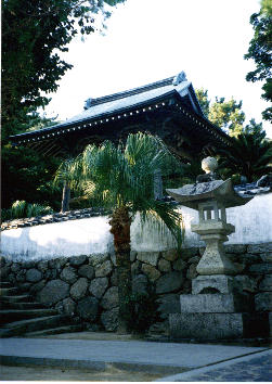 金剛福寺（境内にあった木）