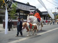 上杉神社御輿の列の馬